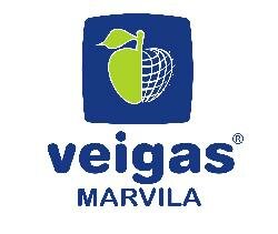 log�tipo da Veigas Marvila